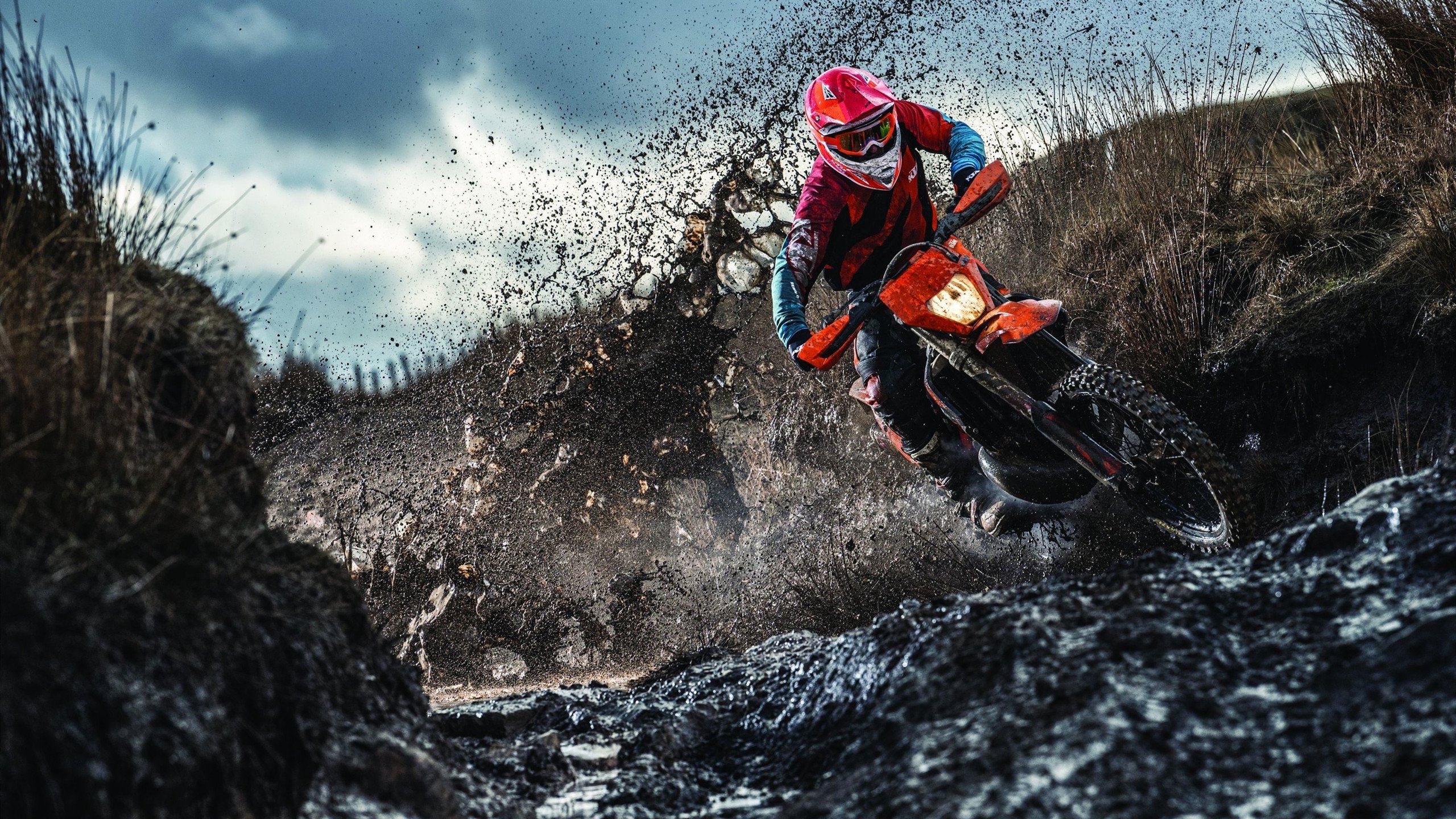 全红婵和陈芋汐争夺跳水金牌，竞争激烈，全红婵陈芋汐包揽冠亚军