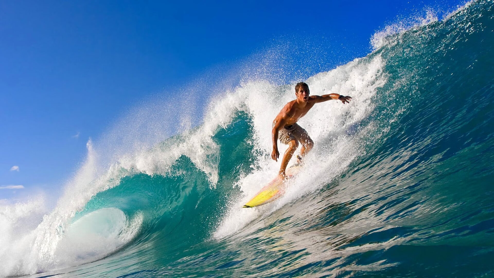 苏格兰橄榄球队的未来发展依赖于青训和人才培养，苏格兰 球员