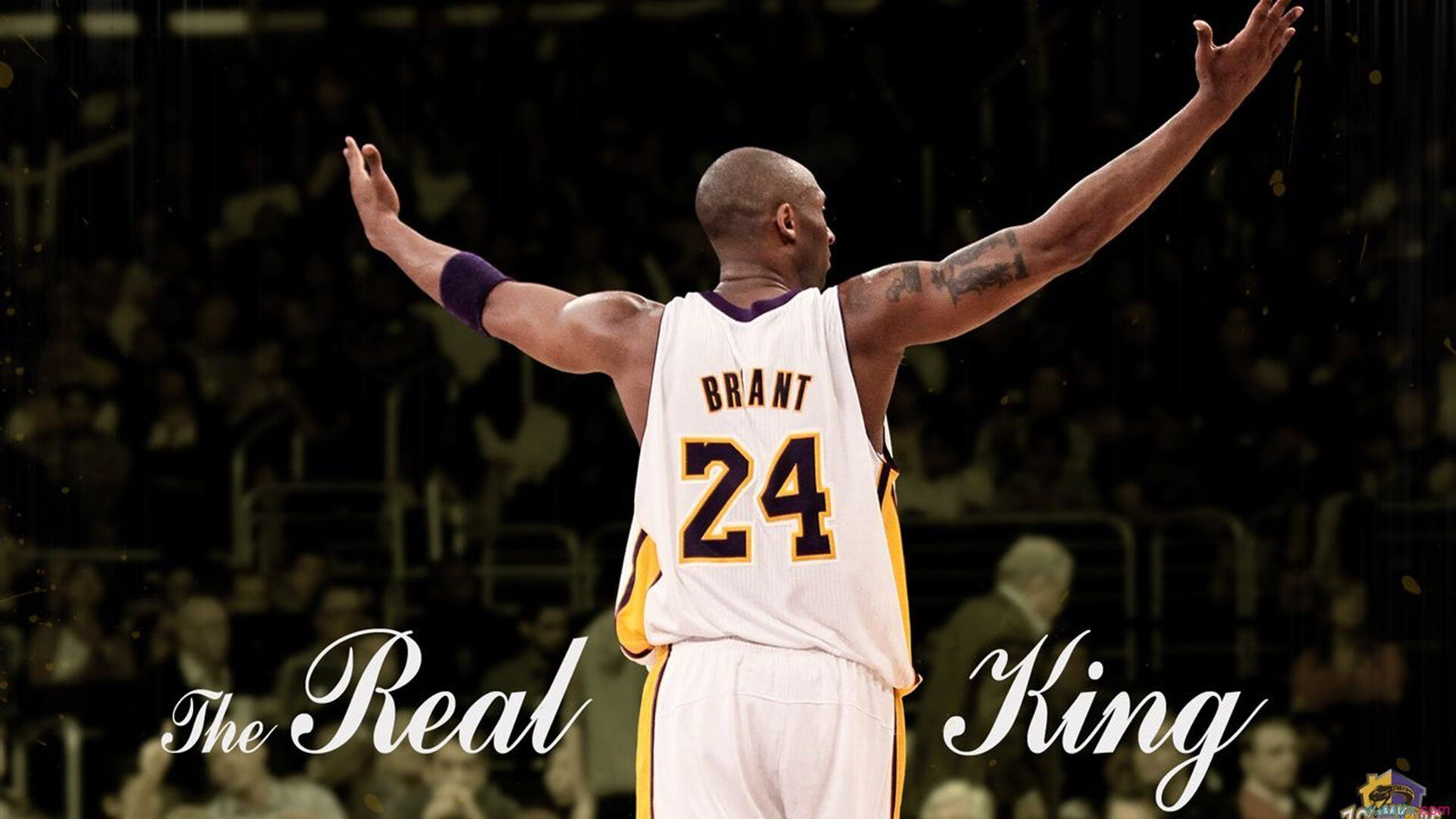 赛事直播评论区互动频繁球迷观点碰撞形成多元讨论生态,看球评论