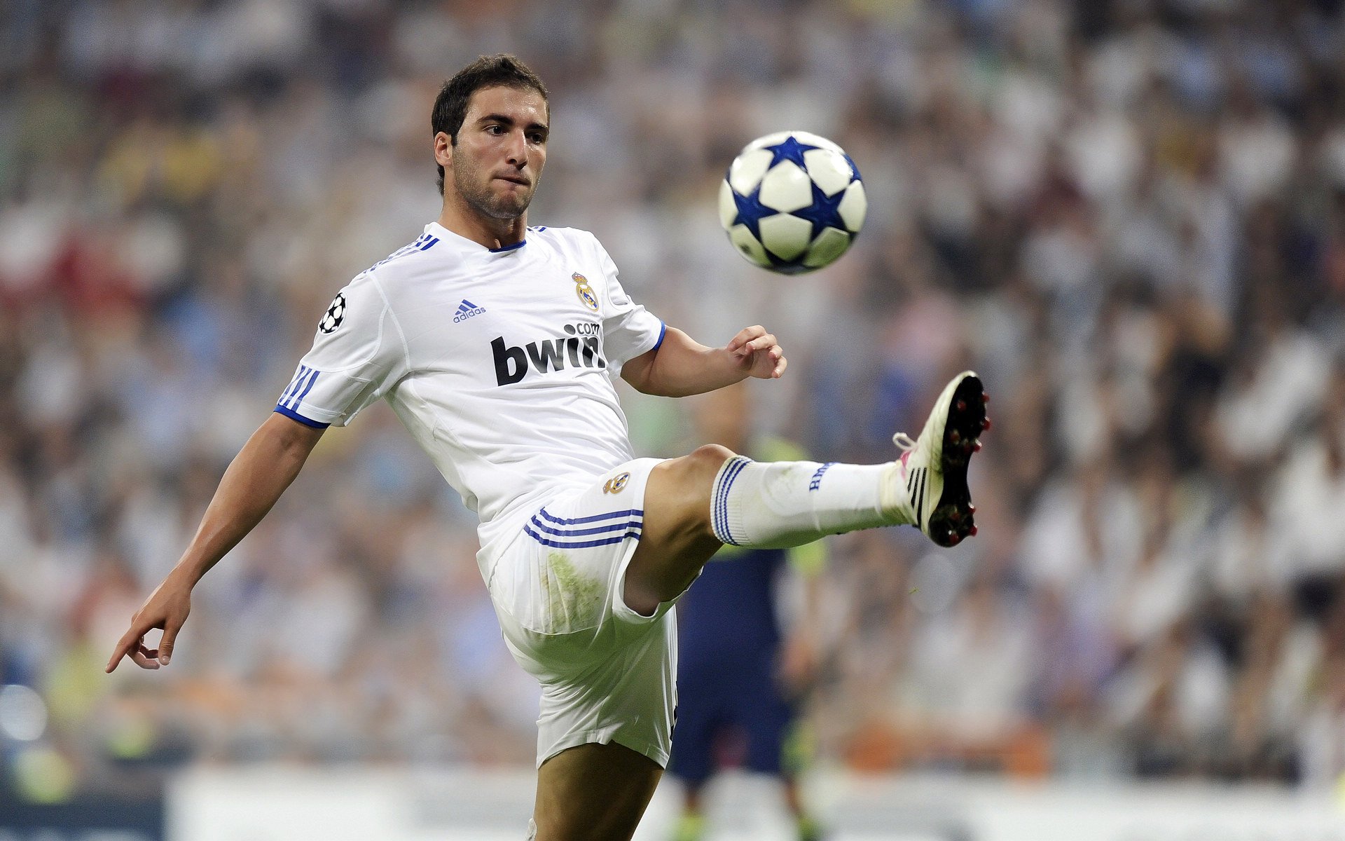 莫耶斯：桑德兰的失败是宝贵勋章，莫伊桑德